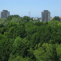 Leythenrode 50