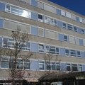 img 9775