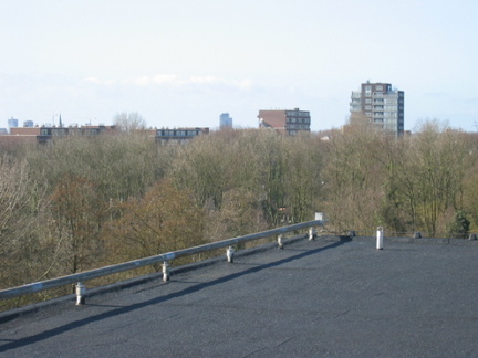 img 9788