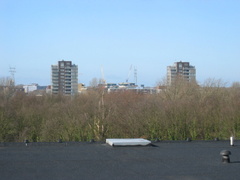 img 9790