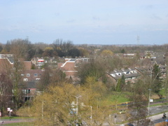 img 9795