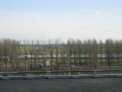 img 9807