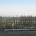 img 9807
