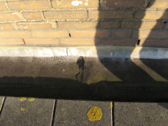 IMG 0397