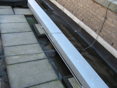 IMG 0401