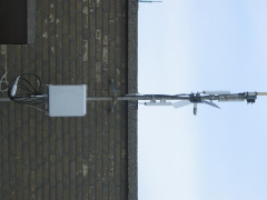 IMG 1117