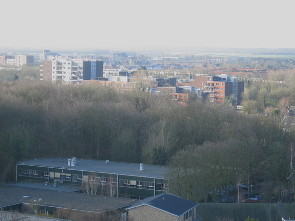lijtweg 675
