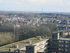 lijtweg 691