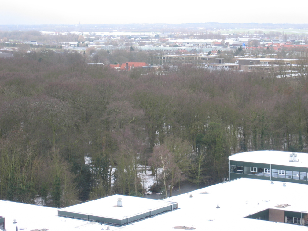 lijtweg 26feb04b11