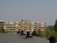 DSC07066