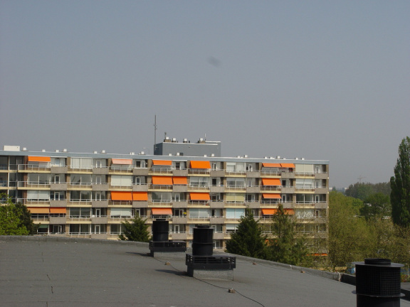 DSC07066