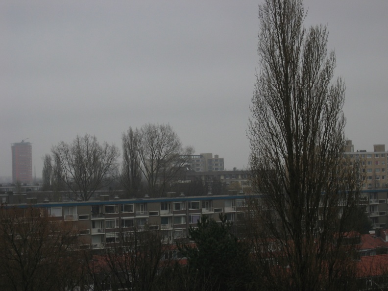 img 9768