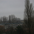 img 9768