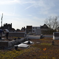 DSC 4461