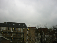 img 0215