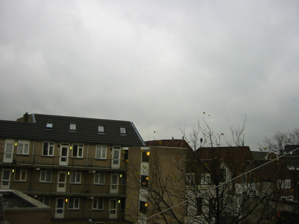 img 0215