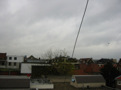 img 0217