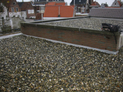 img 0219