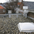img 0223