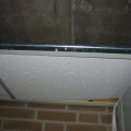 img 0225