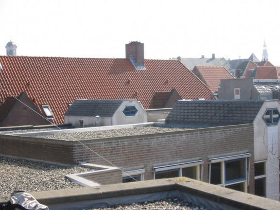 img 0519