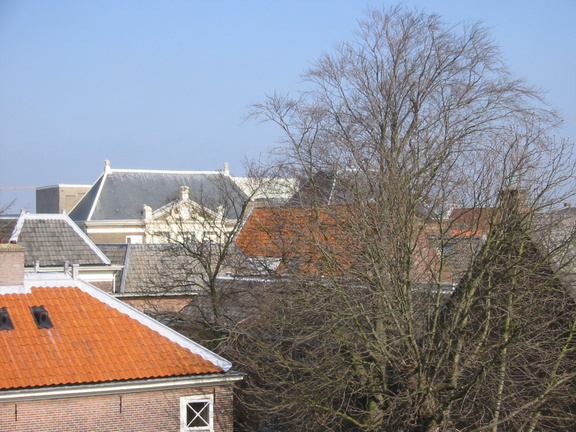 img 0522