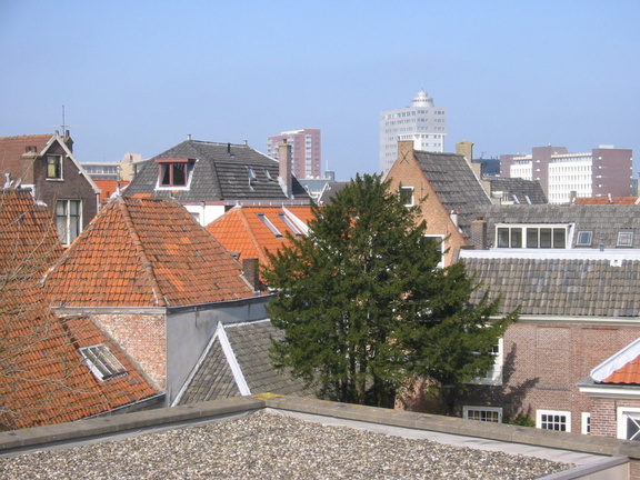 img 0525