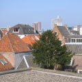 img 0525