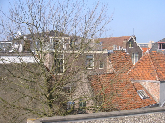 img 0526