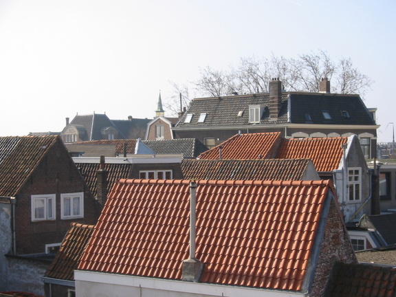 img 0530