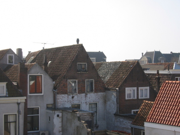 img 0531