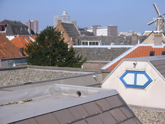 img 0536