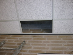 img 0537