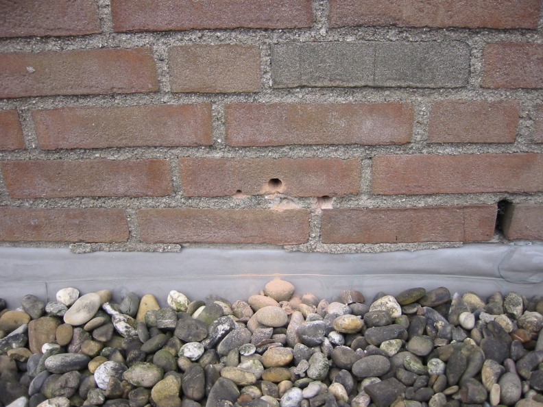 img 0569