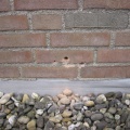 img 0569