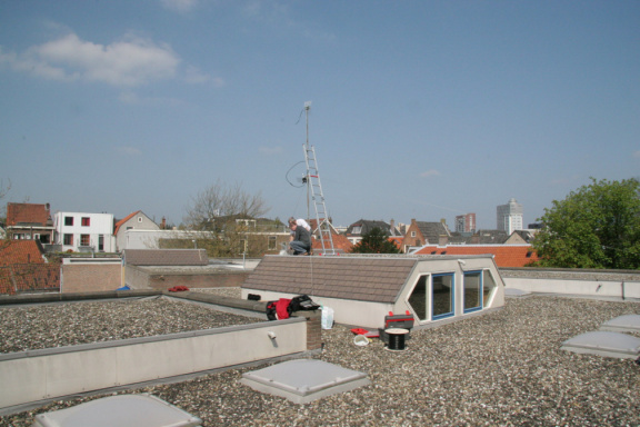 IMG 3764