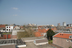IMG 3788
