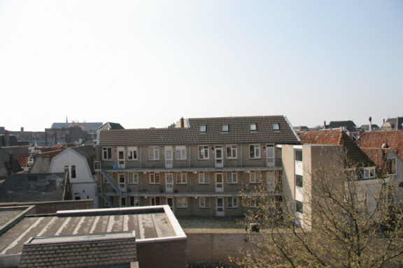 IMG 3793