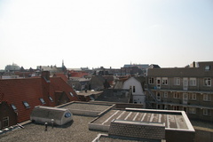 IMG 3794
