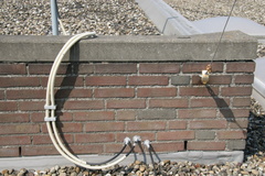 IMG 3859