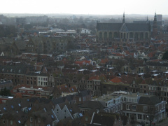 IMG 4685
