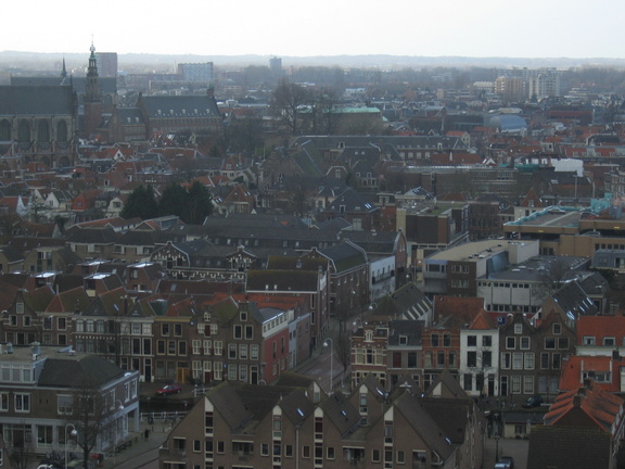 IMG 4686