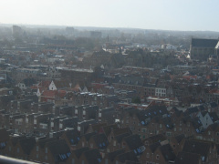 IMG 4724