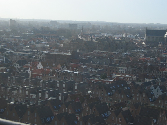 IMG 4724