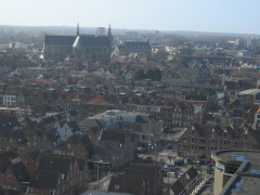 IMG 4725