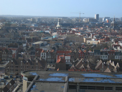 IMG 4726