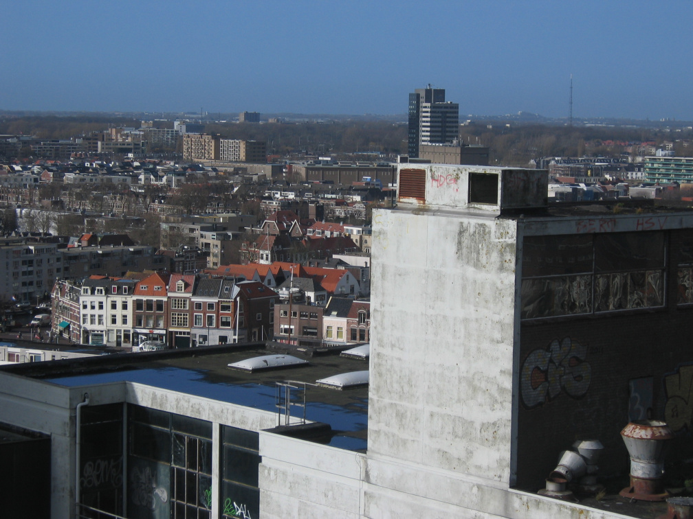 IMG 4729