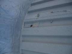 IMG 4749