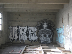 IMG 4761