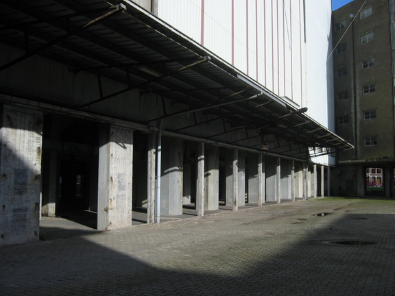 IMG 4767